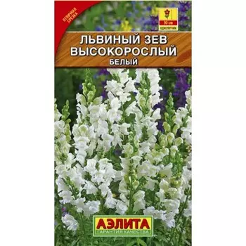 Семена цветов Львиный зев «Высокорослый», однолетник, белый