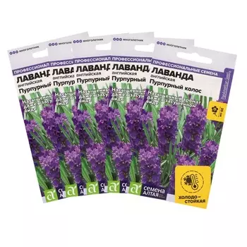 Семена цветов Лаванда "Пурпурный колос",набор 5 шт