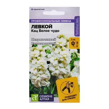 Семена цветов Левкой Кац "Белое чудо", ц/п, махровый, 8 шт