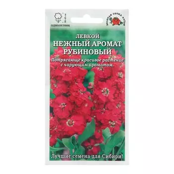 Семена цветов Левкой "Нежный Аромат", 0,1