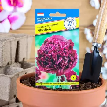 Семена цветов Мак пионовидный махровый "Черный", О, 0,1 г