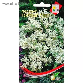 Семена цветов Молочай "Горный снег" Дом семян, О, 8 шт