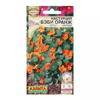 Семена Цветов Настурция "Бэби оранж", суперкомпактная, 4 шт