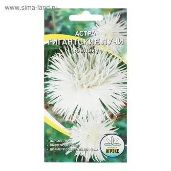 Семена цветов однолетние Астра Гигантские лучи Белая 0,2