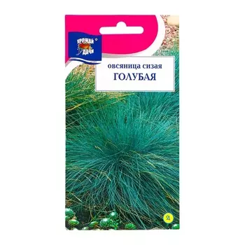 Семена цветов Овсяница "Сизая Голубая", 0,1 г