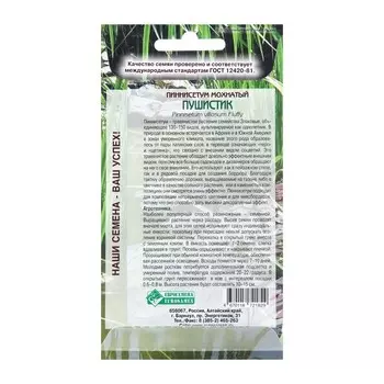 Семена цветов Пеннисетум мохнатый "Пушистик", 5 шт