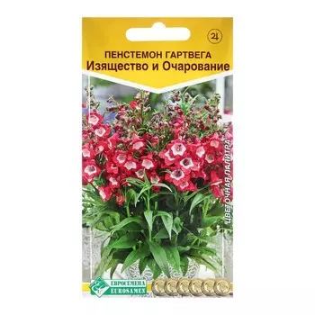 Семена цветов Пенстемон гартвега "Изящество и Очарование", 0 ,1 г