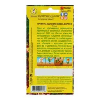 Семена цветов Примула "Ушковая", смесь окрасок, Мн, 0,02 г