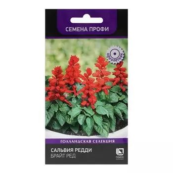 Семена цветов Сальвия Редди "Брайт Ред" 10 шт