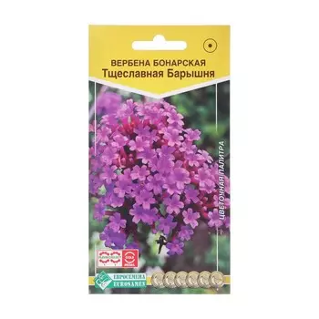 Семена цветов Вербена бонарская "Тщеславная Барышня", 5 шт