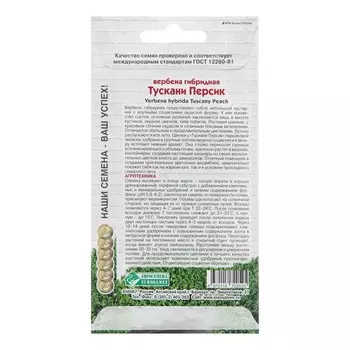 Семена цветов Вербена гибридная "Тускани Персик", 8 шт