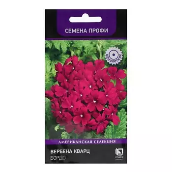 Семена цветов Вербена "Кварц Бордо" 10 шт