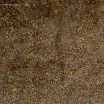 Семена Донник жёлтый 200г.