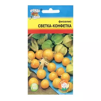 Семена Физалис "СВЕТКА-КОНФЕТКА", 0,1 г