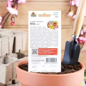 Семена Гацания «Муза», ц/п, крупноцветковая, смесь, для балкона, веранды, цветника, однолетник, низкорослая0.05 г