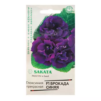 Семена Глоксиния "Брокада", ц/п, синяя, F1, 4 шт