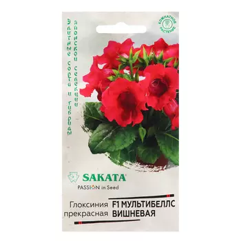 Семена Глоксиния "Мультибеллс вишневая", ц/п, F1, 4 шт.