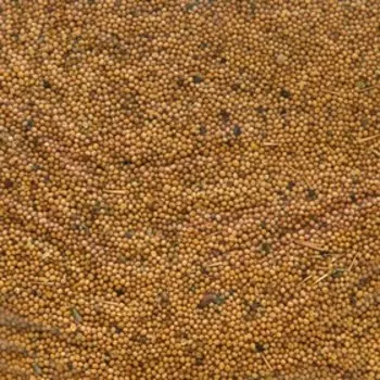 Семена Горчица белая, Мой Выбор, 0,8 кг