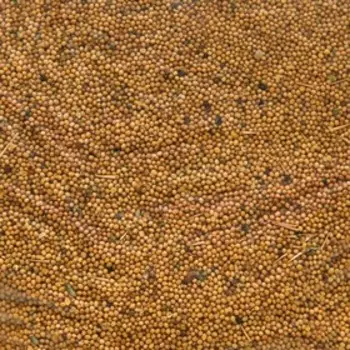 Семена Горчица белая, Мой Выбор, 2 кг