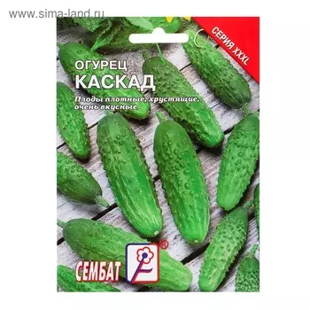 Семена ХХХL Огурец "Каскад", 5 г