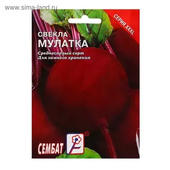 Семена ХХХL Свекла "Мулатка", 10 г