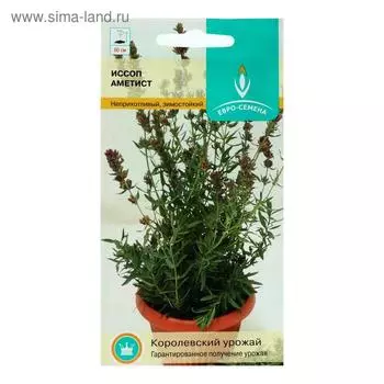Семена Иссоп "Аметист", цв/п, 0,2 г