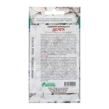 Семена Эхеверия Пеакоцкого "Десмета", 5 шт