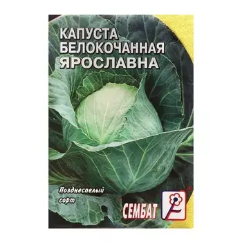 Семена Капуста белокачанная "Ярославна", 1 г
