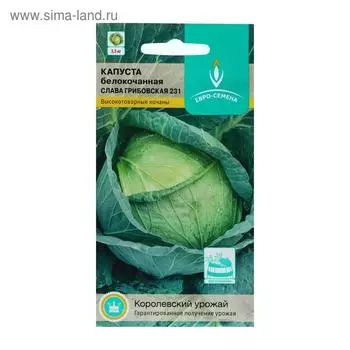 Семена Капуста белокочанная "Слава Грибовская 231", цв/п, 0,5 г