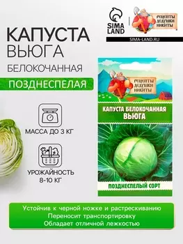 Семена Капуста белокочанной "Вьюга", 0,3 г