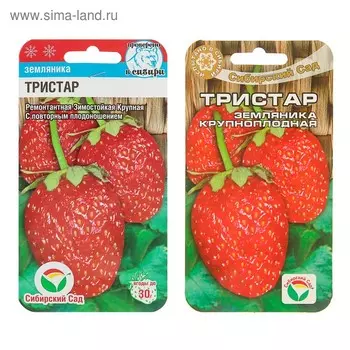 Семена Клубника "Тристар", 10 шт
