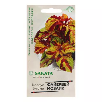 Семена Колеус "Файервей Мозаик", 4 шт.
