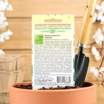 Семена комнатных цветов Финик "Луксор", 2 шт.