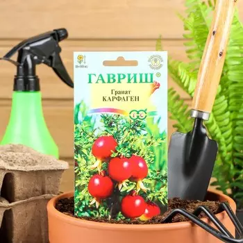 Семена комнатных цветов Гранат "Карфаген", ц/п, 5 шт.