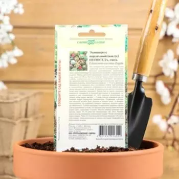 Семена комнатных цветов Кактус "Непоседа", ц/п, 0,05 г