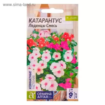 Семена комнатных цветов Катарантус "Леденцы", 0,05 г