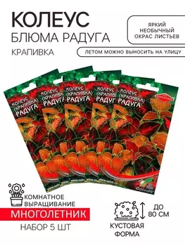 Семена комнатных цветов Колеус "Блюма Радуга", набор 5 шт