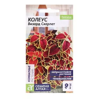 Семена комнатных цветов Колеус "Скарлет", ц/п, 5 шт.