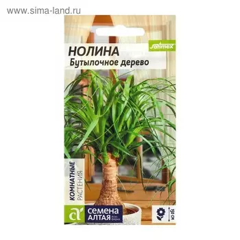 Семена комнатных цветов Нолина "Бутылочное дерево", ц/п, 3 шт.