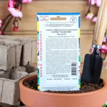 Семена комнатных цветов Герань "Маверик", F1, 5 шт.