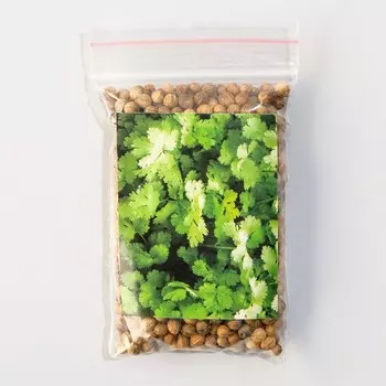 Семена Кориандр "Санто", Sakata, 10 г