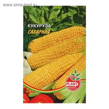 Семена Кукуруза "Сахарная", 6 шт.