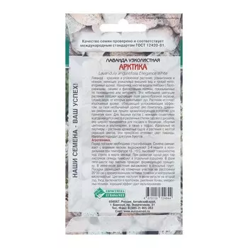 Семена Лаванда узколистная "Арктика", 5 шт