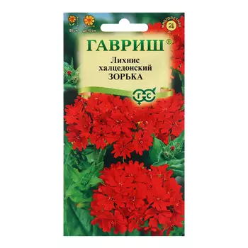 Семена Лихнис "Зорька", ц/п, 0,1 г