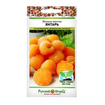 Семена Малина "Янтарь" желтая , 22шт