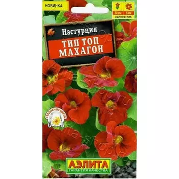 Семена Настурция «Тип топ»,однолетник, низкорослый, балконный