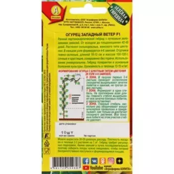 Семена огурца "Западный ветер", F1, 10 шт.