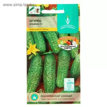 Семена Огурец "Агафон" F1, раннеспелый, партенокарпический, крупнобугорчатый, 0,25 г