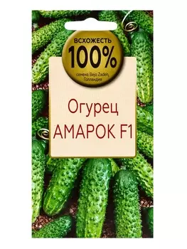 Семена Огурец Амарок F1, «Всхожесть 100%», партенокарпический гибрид, 3 шт.