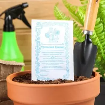 Семена Огурец "Апрельский" F1, партенокарпический, б/п, 0,25 г